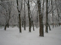 Городской парк Городской парк
